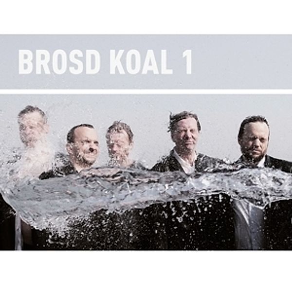 1 (+Download) (Vinyl), Brosd Koal