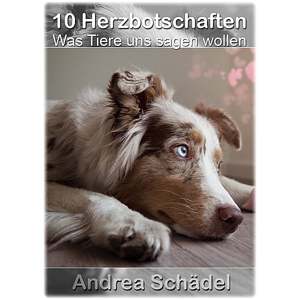 10 Herzbotschaften - Was Tiere uns sagen wollen, Andrea Schädel