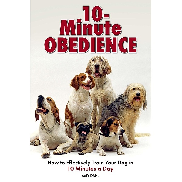 10 Minute Obedience, Amy Dahl