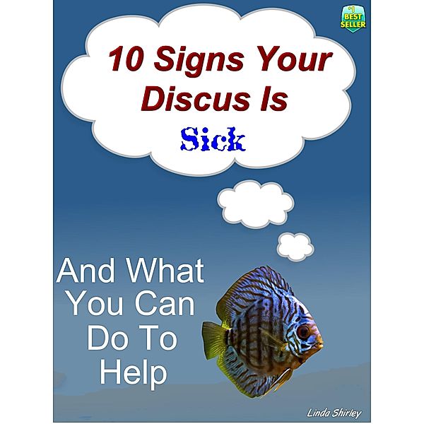 10 Signs Your Discus Is Sick, Brad Shirley