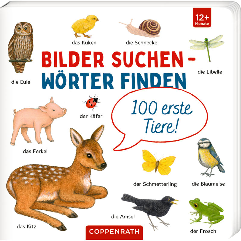 Image of 100 erste Tiere