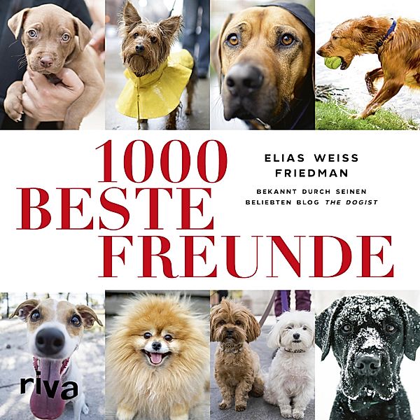 1000 beste Freunde, Elias Weiss Friedman