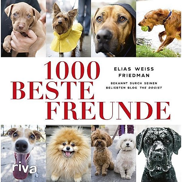 1000 beste Freunde, Elias Weiss Friedman