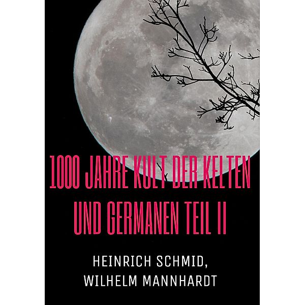 1000 Jahre Kult der Kelten und Germanen TEIL II / 1000 Jahre Kult der Kelten und Germanen Bd.2, Heinrich Schmid, Wilhelm Mannhardt