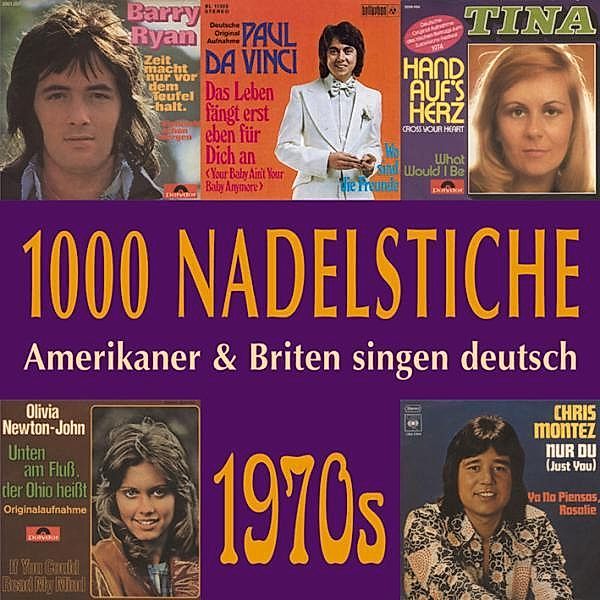 1000 Nadelstiche Vol.08,70er, Diverse Interpreten