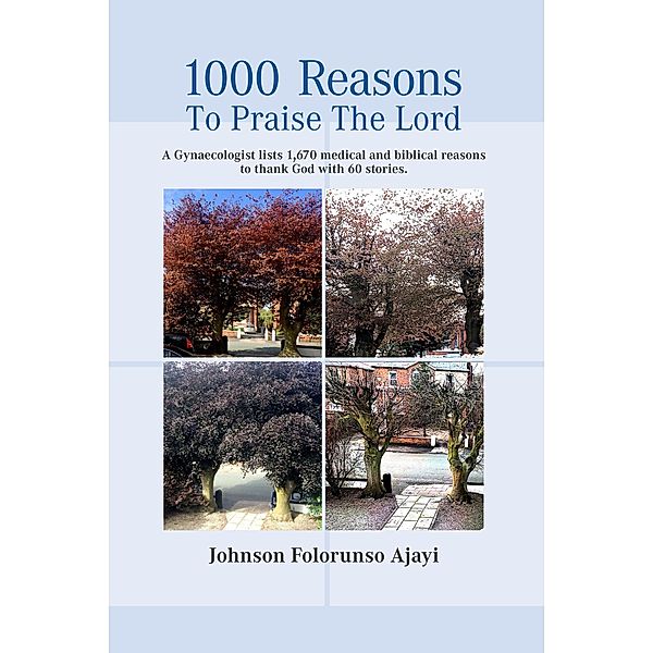 1000 Reasons to Praise the Lord, Johnson Ajayi