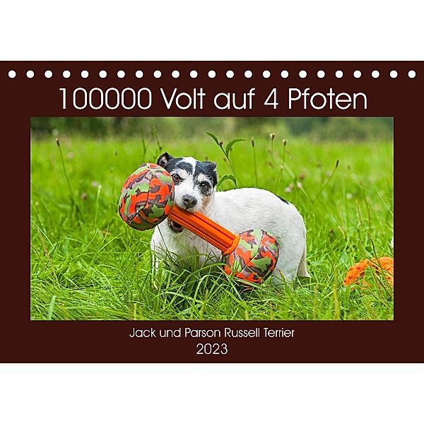 100000 Volt auf vier Pfoten - Jack und Parson Russell Terrier (Tischkalender 2023 DIN A5 quer), Sigrid Starick