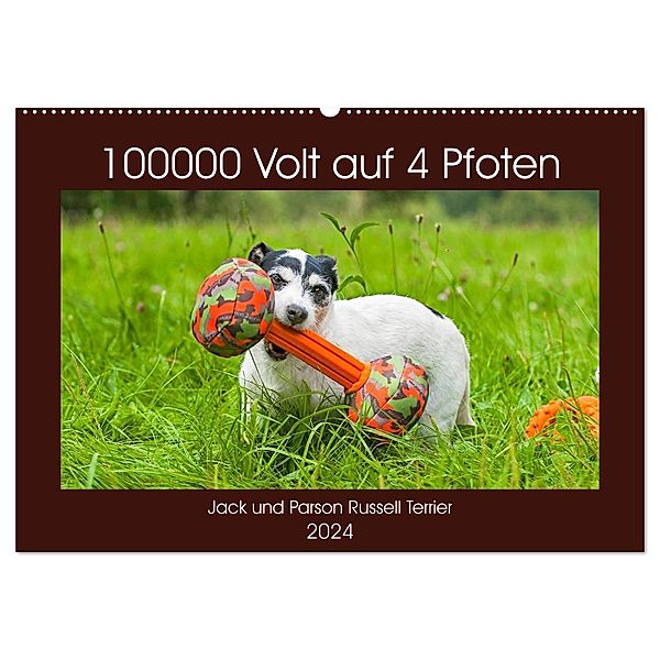 100000 Volt auf vier Pfoten - Jack und Parson Russell Terrier (Wandkalender 2024 DIN A2 quer), CALVENDO Monatskalender, Sigrid Starick