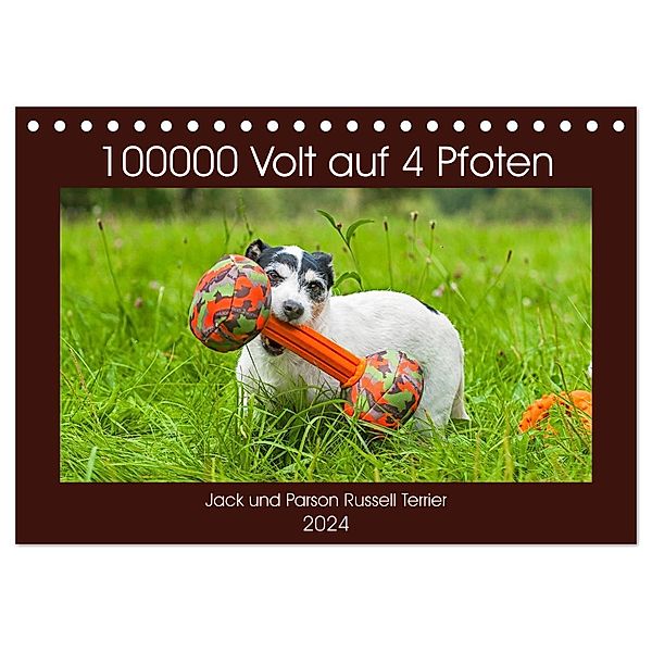 100000 Volt auf vier Pfoten - Jack und Parson Russell Terrier (Tischkalender 2024 DIN A5 quer), CALVENDO Monatskalender, Sigrid Starick
