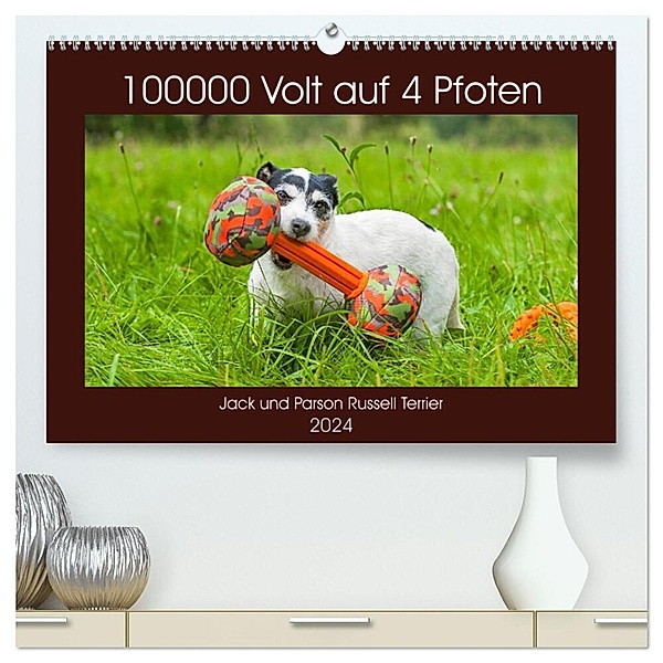 100000 Volt auf vier Pfoten - Jack und Parson Russell Terrier (hochwertiger Premium Wandkalender 2024 DIN A2 quer), Kunstdruck in Hochglanz, Sigrid Starick