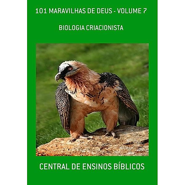 101 MARAVILHAS DE DEUS - VOLUME 7 / 101 MARAVILHAS DE DEUS, Central de Ensinos Bíblicos