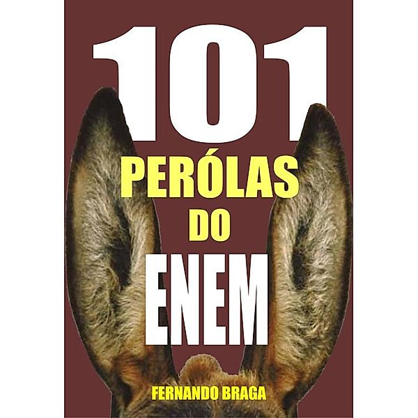 101 Pérolas do enem, Fernando Braga