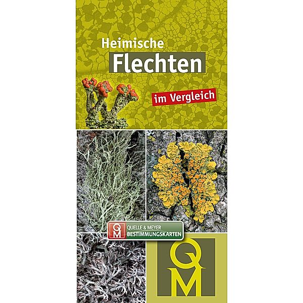 10er-Set: Heimische Flechten im Vergleich