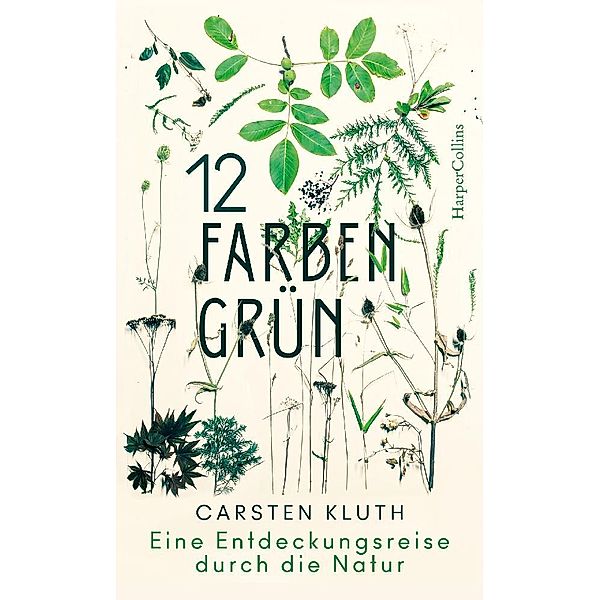 12 Farben Grün. Eine Entdeckungsreise durch die Natur, Carsten Kluth