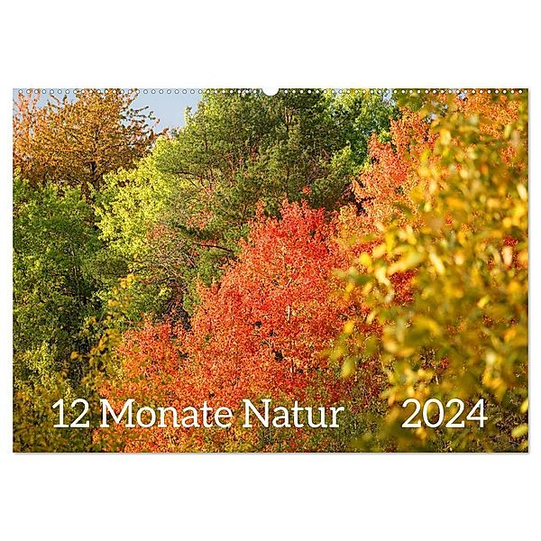12 Monate Natur (Wandkalender 2024 DIN A2 quer), CALVENDO Monatskalender, Sergej Schmidt