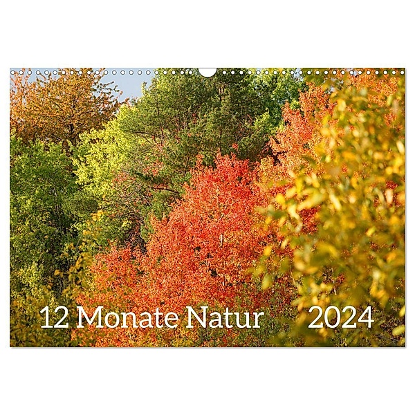 12 Monate Natur (Wandkalender 2024 DIN A3 quer), CALVENDO Monatskalender, Sergej Schmidt