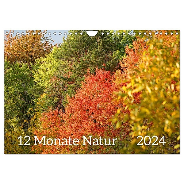 12 Monate Natur (Wandkalender 2024 DIN A4 quer), CALVENDO Monatskalender, Sergej Schmidt