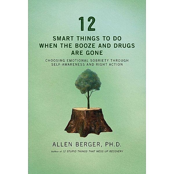 12 Smart Things to Do When the Booze and Drugs Are Gone, Allen Berger