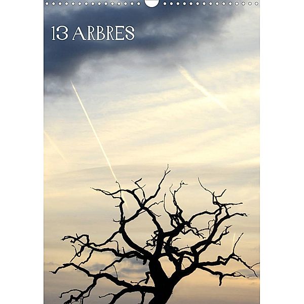 13 ARBRES (Calendrier mural 2023 DIN A3 vertical), Patrice Thébault