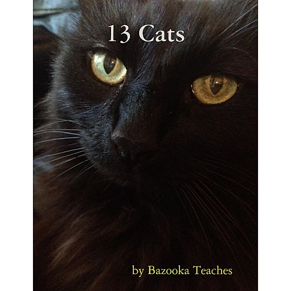 13 Cats, Bazooka Teaches