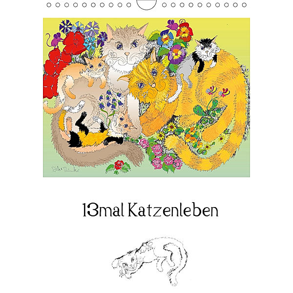 13mal Katzenleben (Wandkalender 2020 DIN A4 hoch), Silke Thümmler