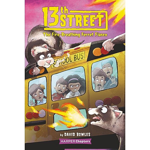 13th Street #2: The Fire-Breathing Ferret Fiasco / 13th Street Bd.2, David Bowles