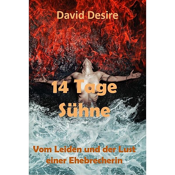 14 Tage Sühne, David Desire