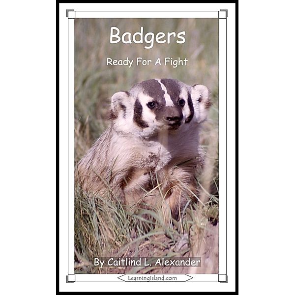 15-Minute Books: Badgers: Ready For A Fight, Caitlind L. Alexander