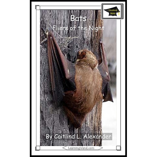 15-Minute Books: Bats: Fliers of the Night: Educational Version, Caitlind L. Alexander