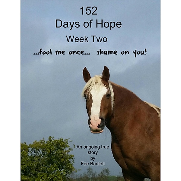 152 Days of Hope: Week Two - Fool Me Once, Shame On You..., Fee Bartlett