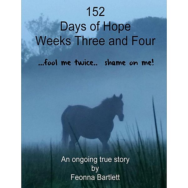 152 Days of Hope: Weeks Three and Four - Fool Me Twice, Shame On Me..., Fee Bartlett