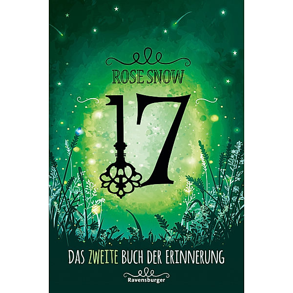 17 - Das zweite Buch der Erinnung / Die Bücher der Erinnerung Bd.2, Rose Snow