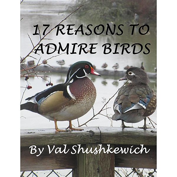 17 Reasons to Admire Birds, Val Shushkewich