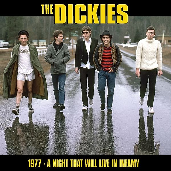 1977/1982 A Night That Will Live In Infamy... (Vinyl), Dickies