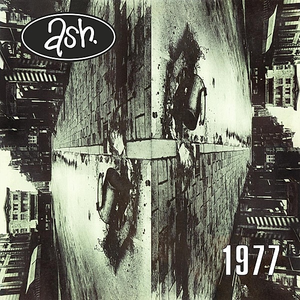 1977 (Splattered Vinyl), Ash