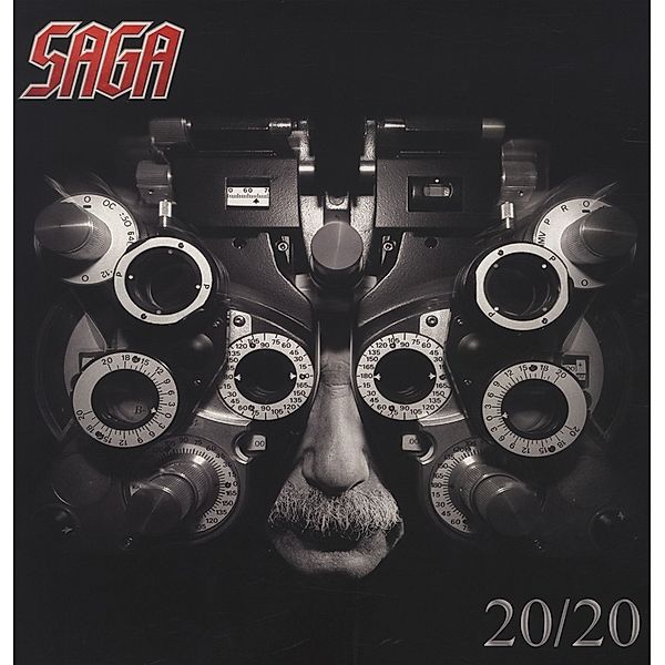 20/20 (Vinyl), Saga