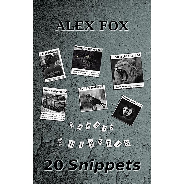 20 Snippets, Alex Fox