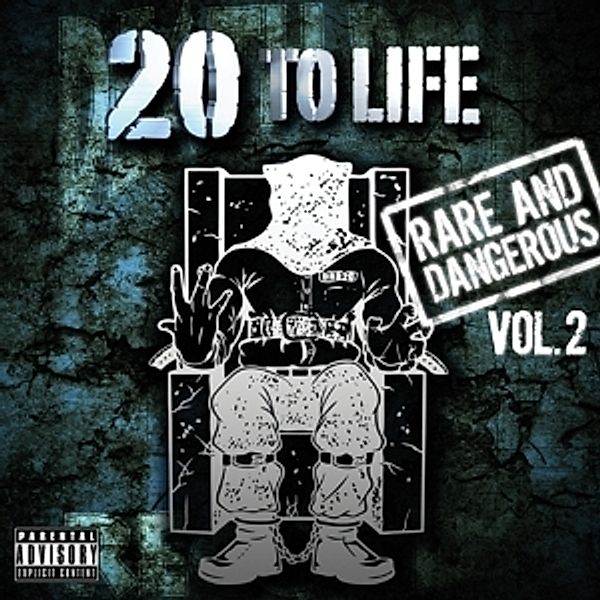 20 To Life: Vol.2, Diverse Interpreten