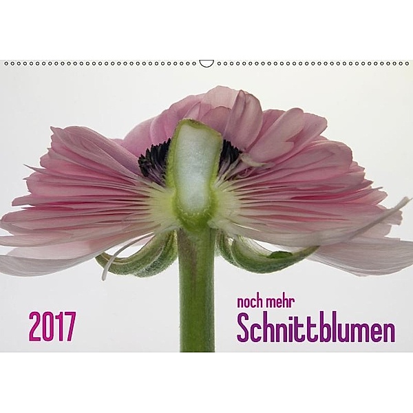2017 - noch mehr SCHNITTBLUMEN (Wandkalender 2017 DIN A2 quer), Claudia Weber-Gebert