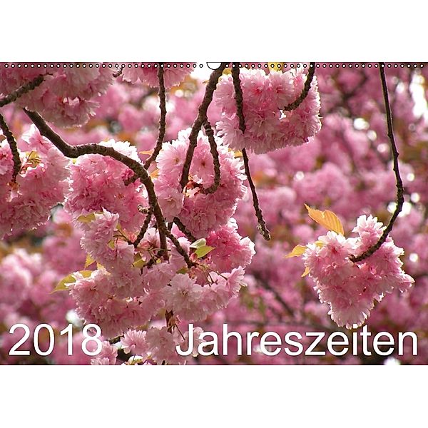 2018 Jahreszeiten (Wandkalender 2018 DIN A2 quer), Sergej Schmidt