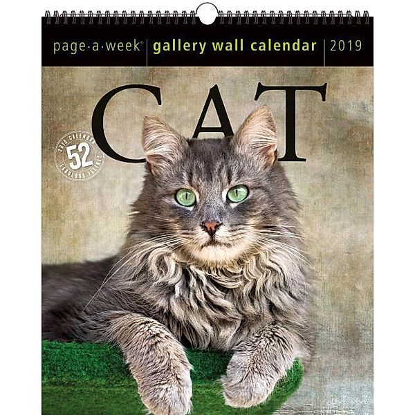 2019 Cat Gallery Wall Page-A-Week Gallery Wall Calendar, Workman Publishing