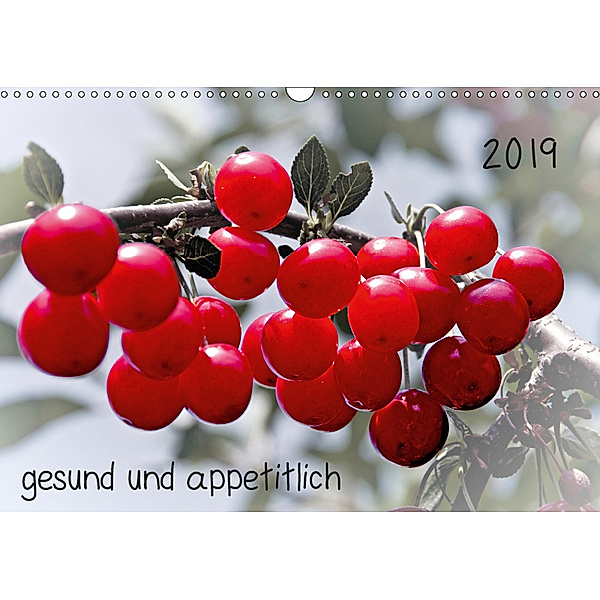 2019 gesund und appetitlich (Wandkalender 2019 DIN A3 quer), Michael Möller
