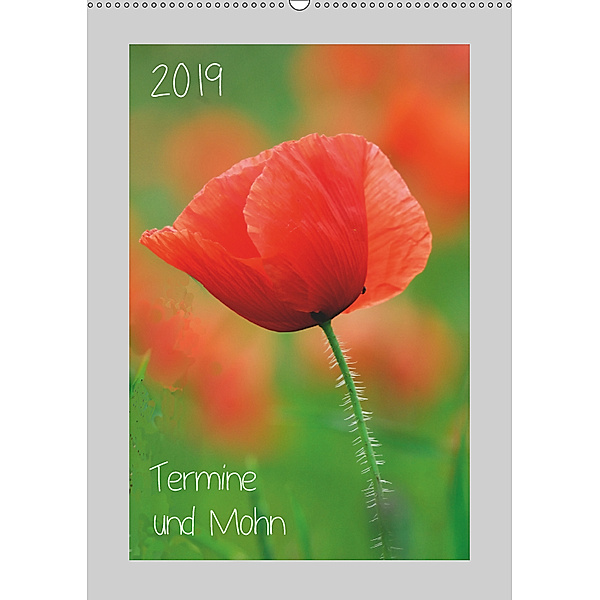 2019 Termine und Mohn (Wandkalender 2019 DIN A2 hoch), Michael Möller