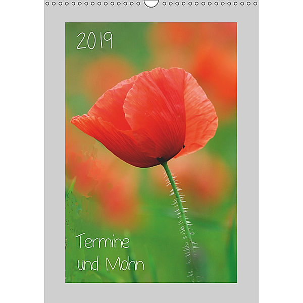 2019 Termine und Mohn (Wandkalender 2019 DIN A3 hoch), Michael Möller