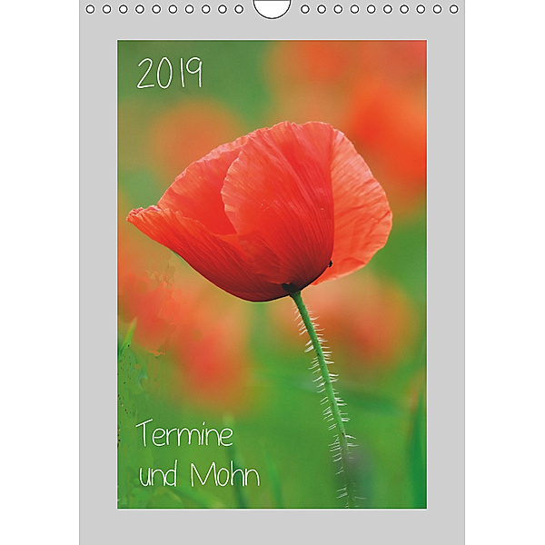 2019 Termine und Mohn (Wandkalender 2019 DIN A4 hoch), Michael Möller