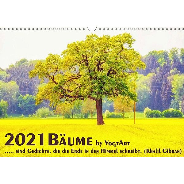 2021 Bäume (Wandkalender 2021 DIN A3 quer), VogtArt