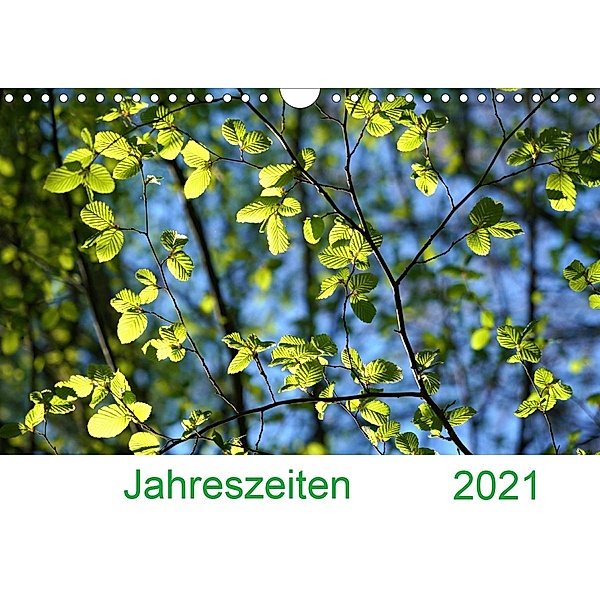 2021 Jahreszeiten (Wandkalender 2021 DIN A4 quer), Sergej Schmidt