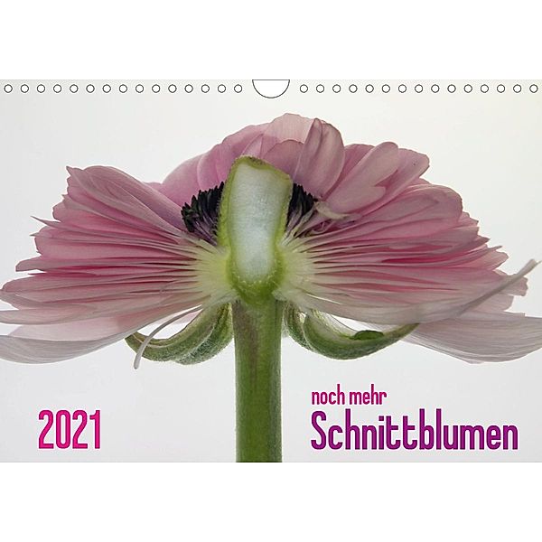 2021 - noch mehr SCHNITTBLUMEN (Wandkalender 2021 DIN A4 quer), Claudia Weber-Gebert