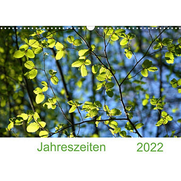 2022 Jahreszeiten (Wandkalender 2022 DIN A3 quer), Sergej Schmidt