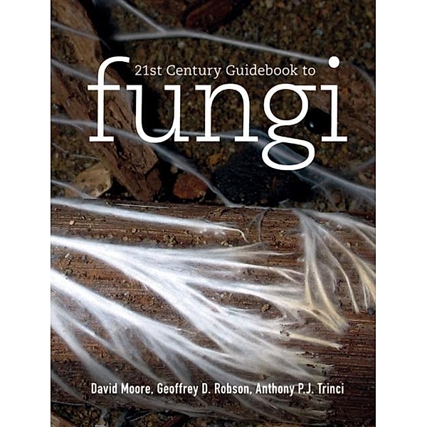 21st Century Guidebook to Fungi, David Moore